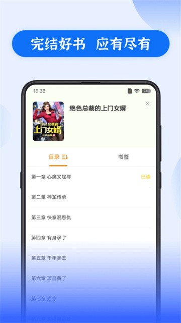 赘婿小说 (4)