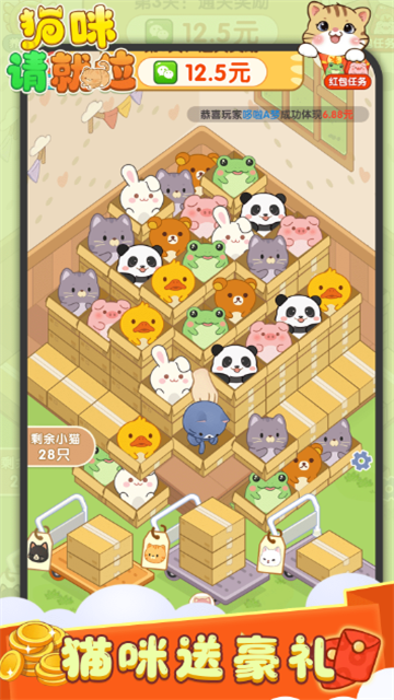 猫咪请就位 (5)
