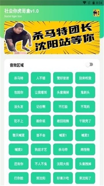 刀哥语音盒 (1)