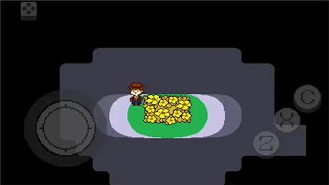 传说之下黄金正义 (4)