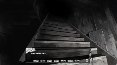 啮齿动物No44观察记录 (1)