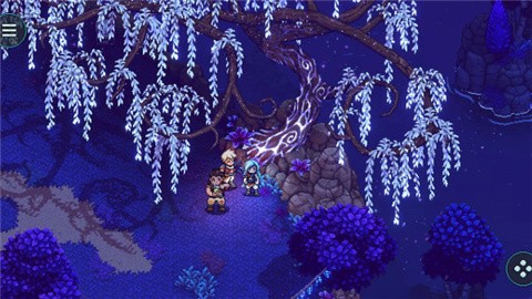 星之海 (1)