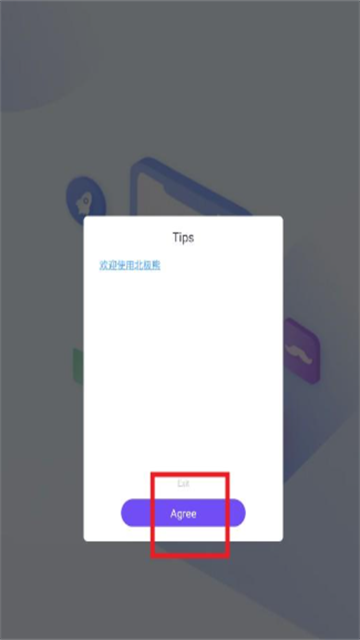 灰熊直装 (3)
