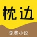 枕边小说正式版