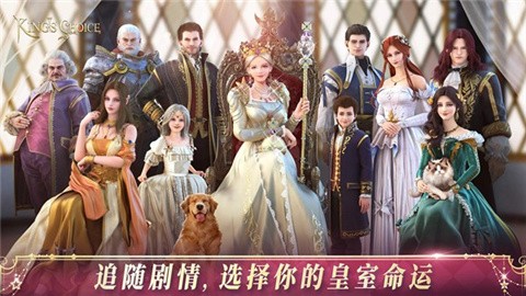 国王的选择 (4)
