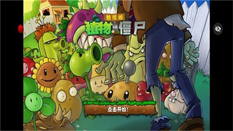 绽放与毁灭 (3)