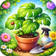 植物大夫放置最新版