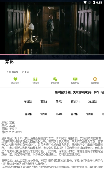 猫砂影视 (4)