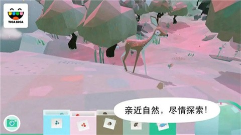 托卡大自然 (3)