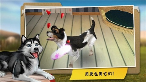 我的寄宿狗屋 (1)