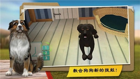 我的寄宿狗屋 (3)
