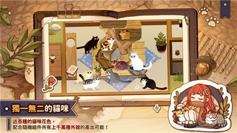 猫逝 (3)