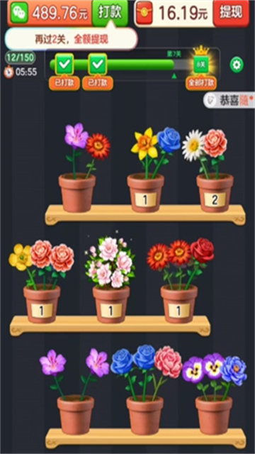 花朵物语 (5)