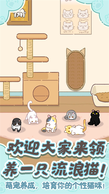 领养一只流浪猫 (2)