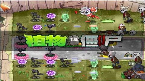 植物大战僵尸魔幻版 (1)