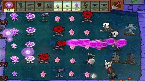 植物大战僵尸魔幻版 (3)