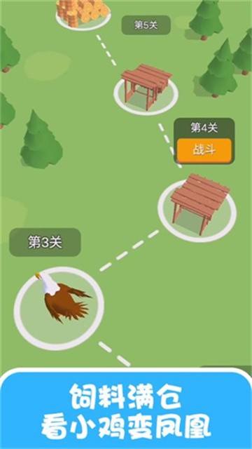 疯狂的小鸡 (3)